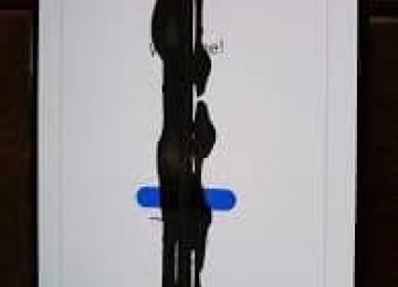 תביעה ייצוגית נגד סמסמונג